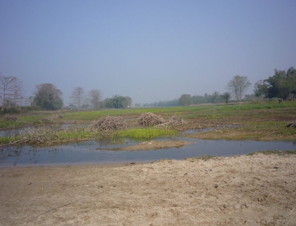 Babai Nadi Bardiya