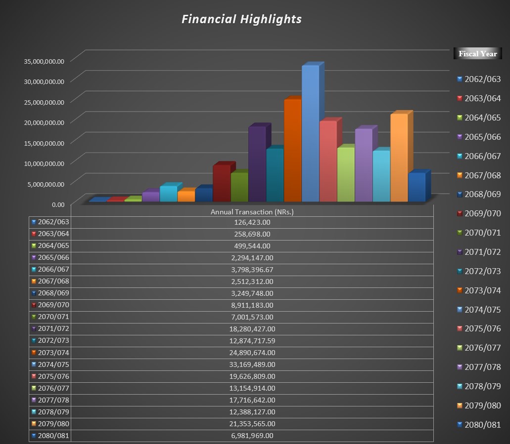 Financial-Highlights